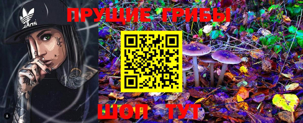 Галлюциногенные грибы Psilocybine cubensis Кушва